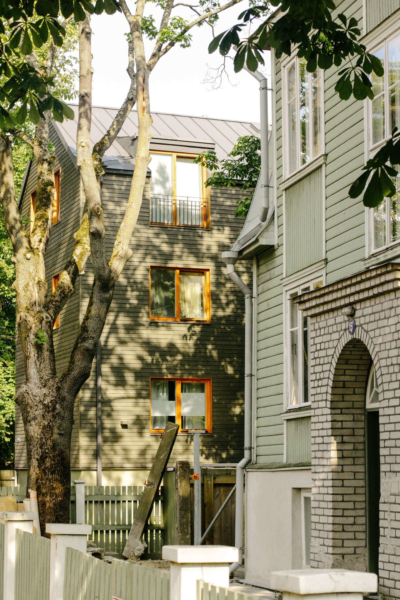 low angle view tree buildings city 1 1 1 1