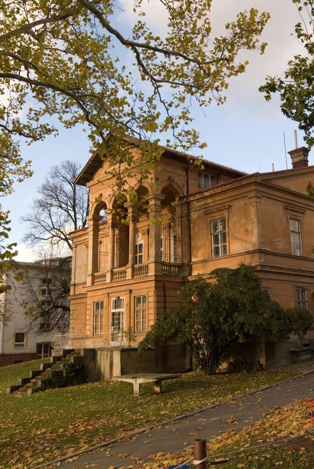 low angle view trees buildings against sky 1048944 6778672 1